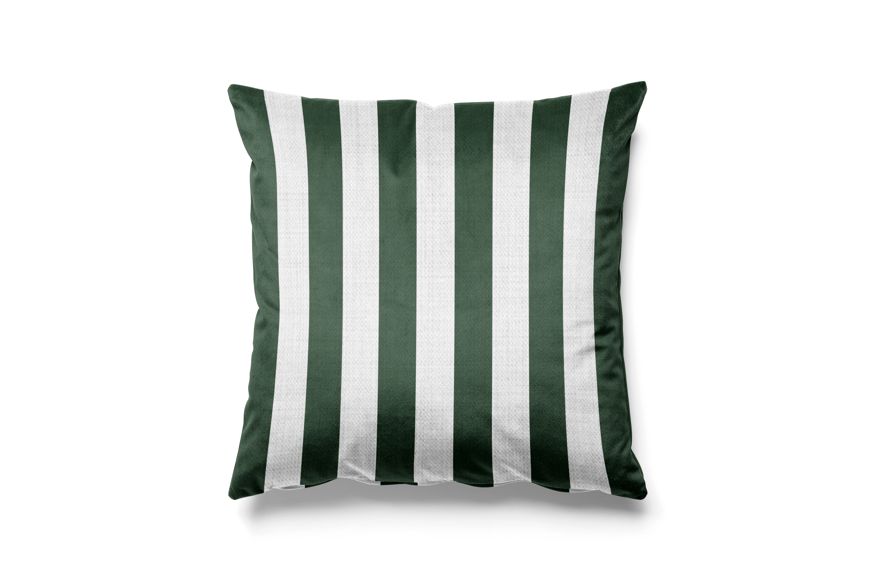 Contrasting White & Green Stripes